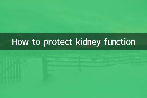 신장 기능을 보호하는 방법