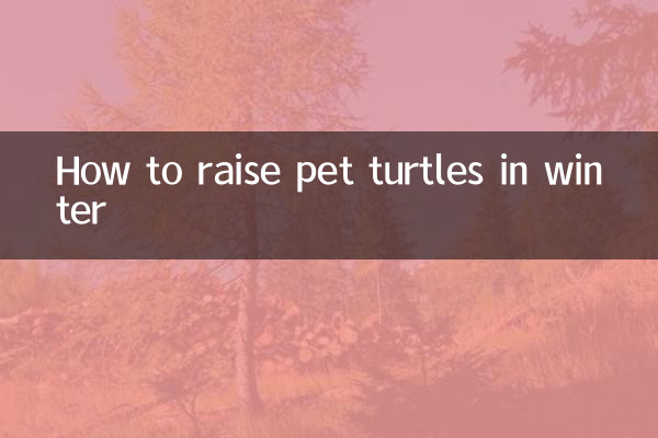 宠物龟冬天怎么养