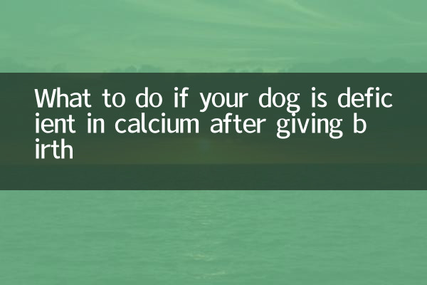 Qué hacer si tu perra tiene deficiencia de calcio después de dar a luz