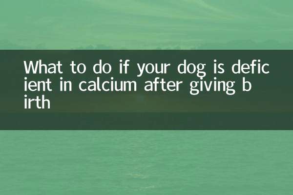 اگر سگ شما پس از زایمان دچار کمبود کلسیم شد چه باید کرد؟