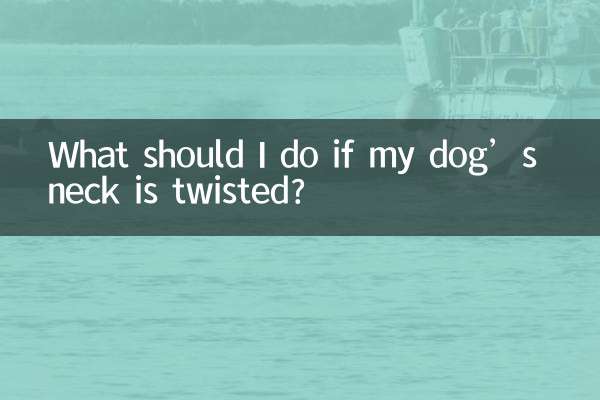 اگر گردن سگم پیچ خورده است چه کار کنم؟