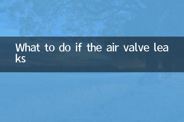 공기 밸브가 누출되면 어떻게 해야 합니까?