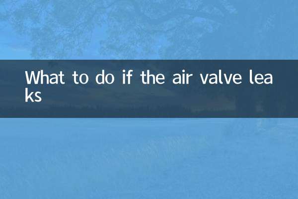공기 밸브가 누출되면 어떻게 해야 합니까?
