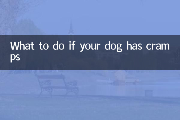 Что делать, если у вашей собаки судороги