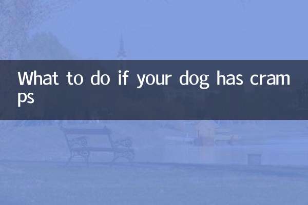 Что делать, если у вашей собаки судороги