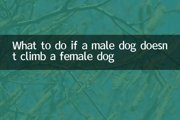 Cosa fare se un cane maschio non si arrampica su una femmina