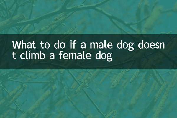 اگر سگ نر از سگ ماده بالا نرود چه باید کرد؟