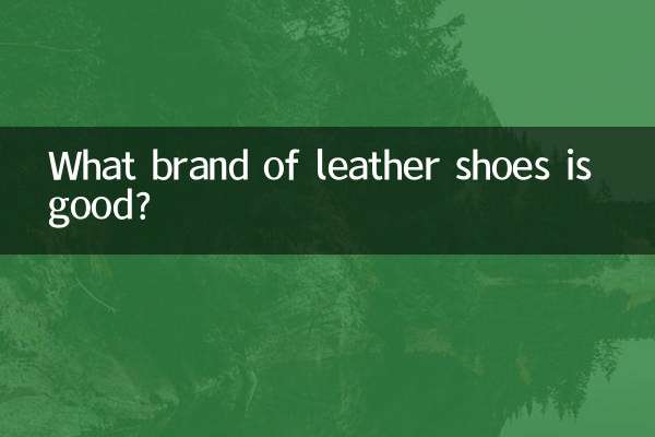 What brand of leather shoes is good?