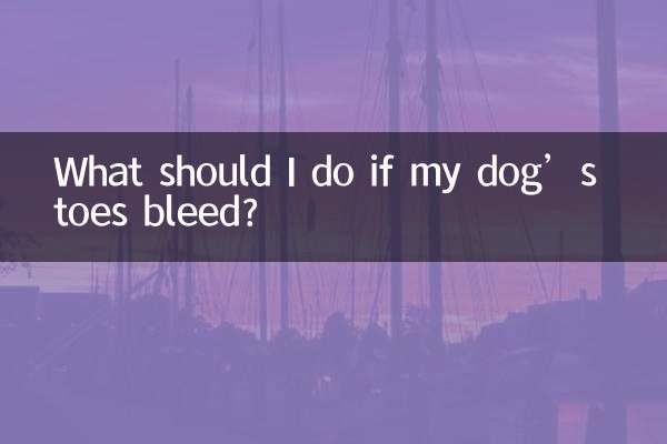 Что делать, если у собаки кровоточат пальцы на ногах?