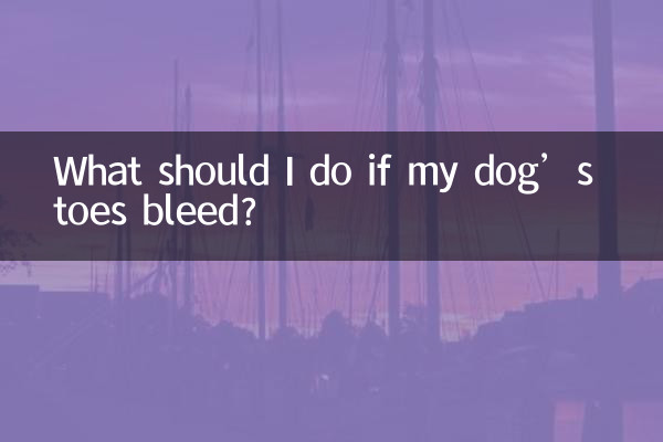ماذا يجب أن أفعل إذا نزفت أصابع كلبي؟