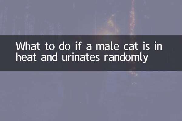 اگر گربه نر در گرما است و به طور تصادفی ادرار می کند چه باید کرد؟