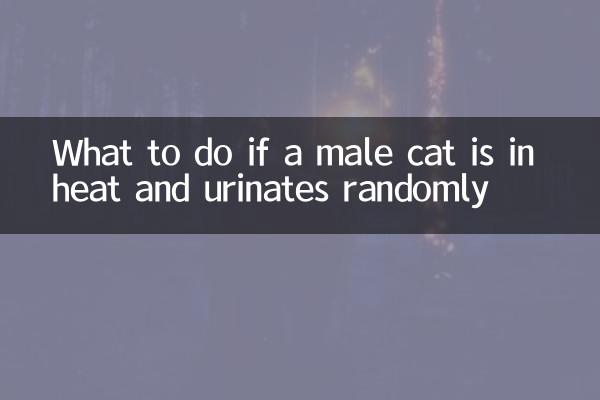اگر گربه نر در گرما است و به طور تصادفی ادرار می کند چه باید کرد؟