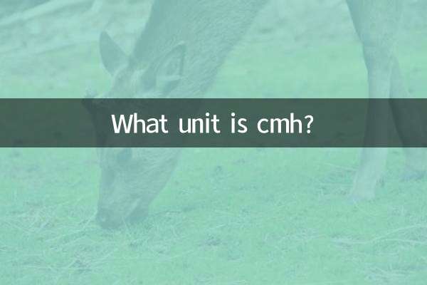 ¿Qué unidad es cmh?