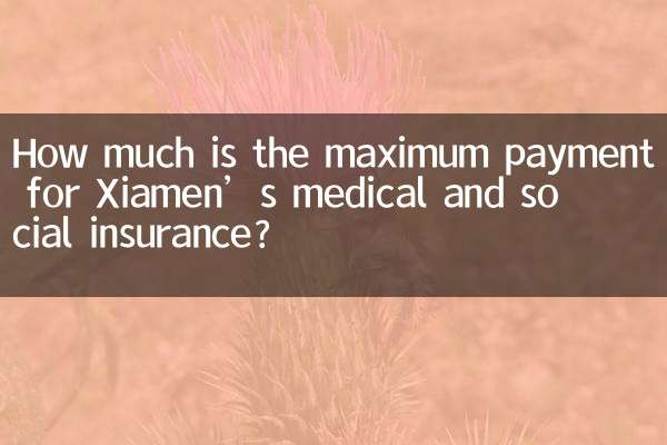 厦门医社保最多交多少