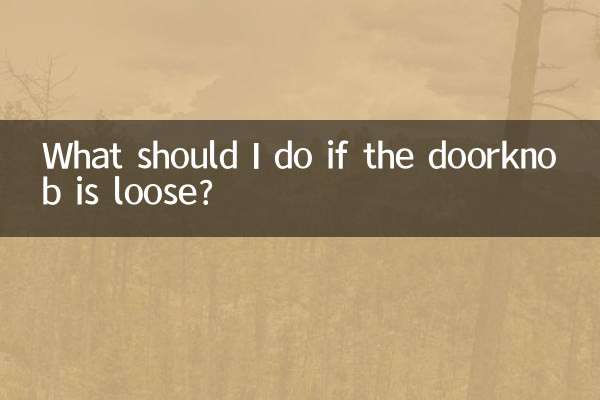 Cosa devo fare se la maniglia della porta è allentata?