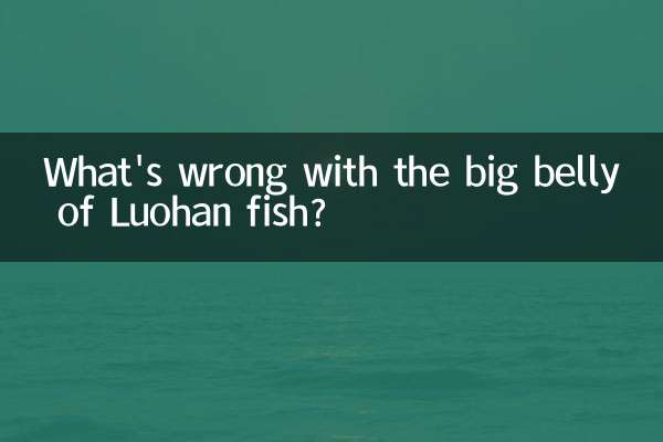 ¿Qué le pasa a la gran barriga del pez Luohan?