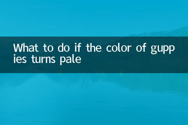 구피의 색깔이 창백해지면 어떻게 해야 할까요?