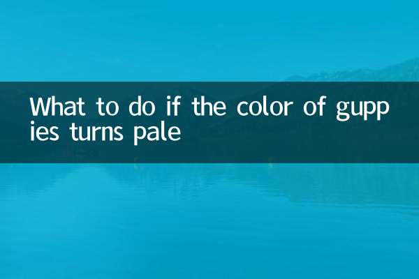 Cosa fare se il colore dei guppy diventa pallido