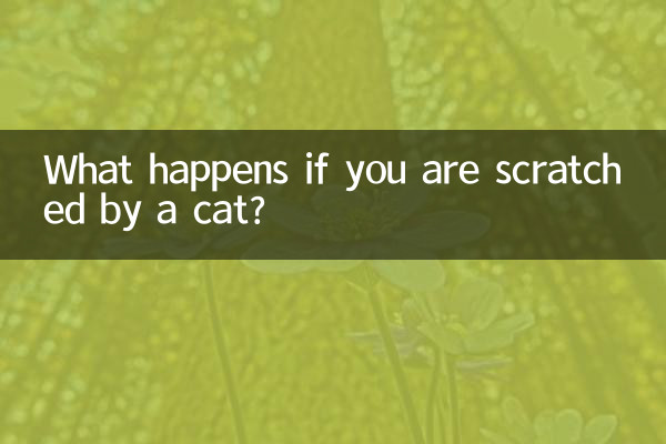 اگر آپ بلی کے ذریعہ کھرچ رہے ہیں تو کیا ہوتا ہے؟