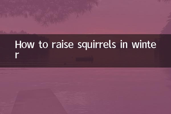 Cómo criar ardillas en invierno.
