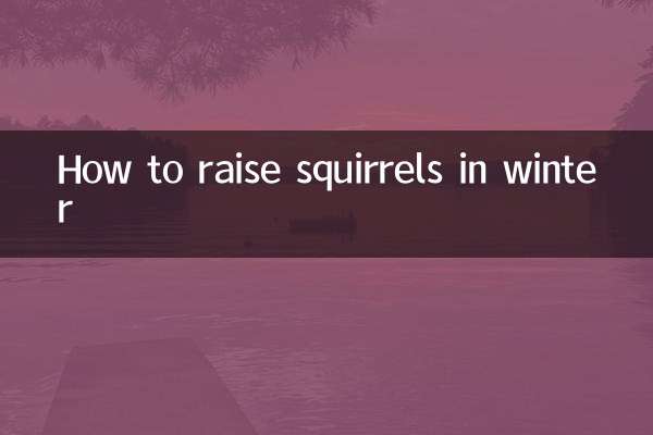 Come allevare gli scoiattoli in inverno