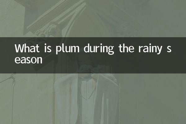 What is plum during the rainy season