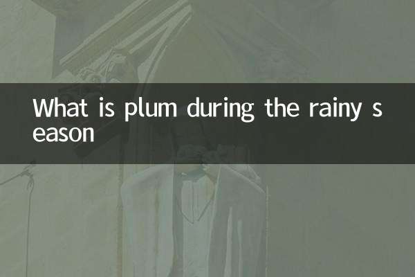 What is plum during the rainy season