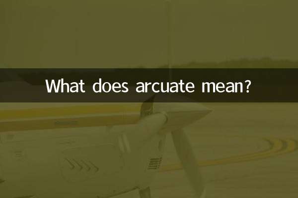 کمانی به چه معناست؟