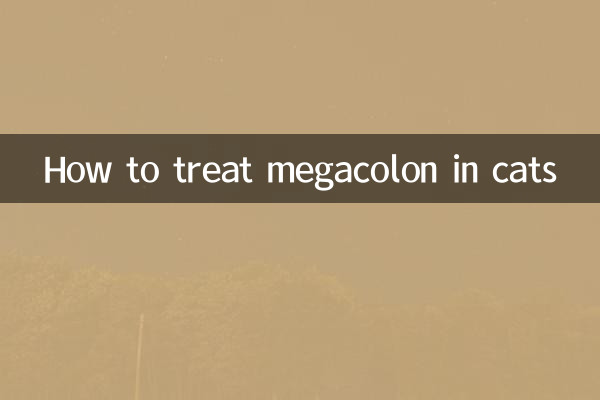 고양이의 거대결장을 치료하는 방법