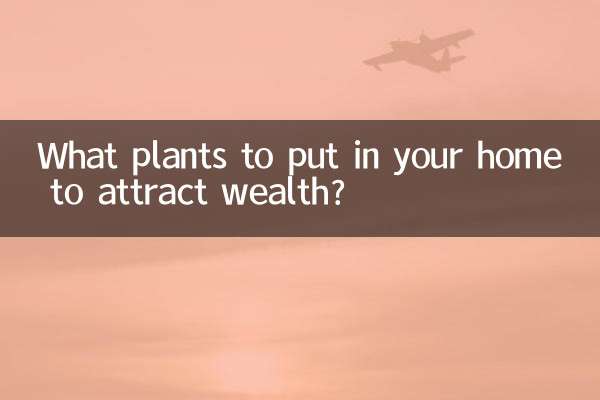 ما النباتات التي يجب وضعها في منزلك لجذب الثروة؟