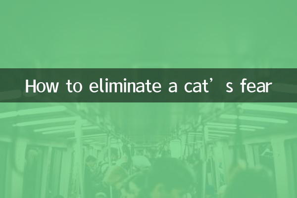 چگونه ترس گربه را از بین ببریم