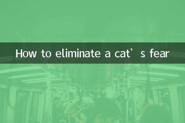 چگونه ترس گربه را از بین ببریم