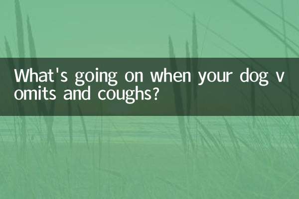 আপনার কুকুর বমি এবং কাশি যখন কি হচ্ছে?