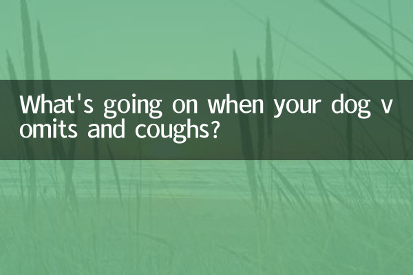 Was passiert, wenn Ihr Hund erbricht und hustet?