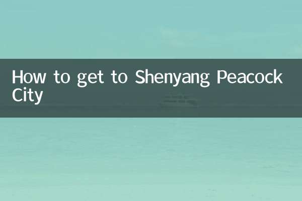 沈阳孔雀城怎么去