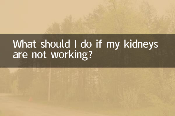 신장이 제대로 작동하지 않으면 어떻게 해야 합니까?