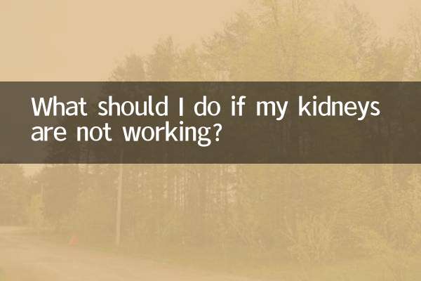 আমার কিডনি কাজ না করলে আমার কি করা উচিত?