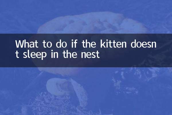 Que faire si le chaton ne dort pas dans le nid