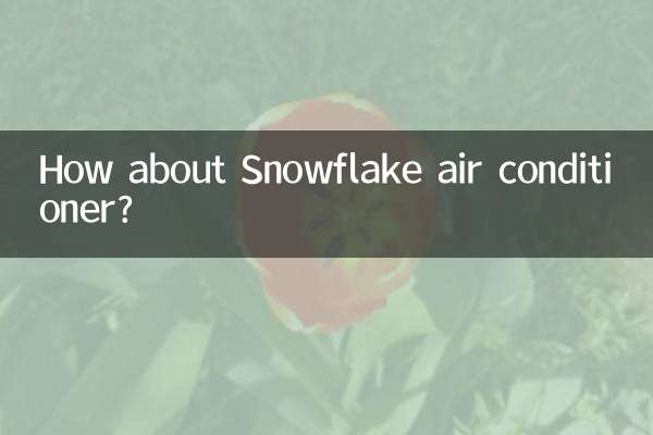 Che ne dici del condizionatore Snowflake?