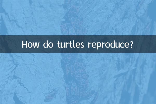 ¿Cómo se reproducen las tortugas?