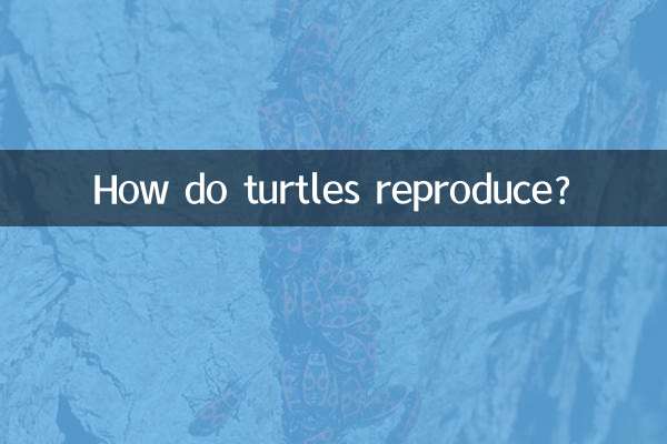 ¿Cómo se reproducen las tortugas?