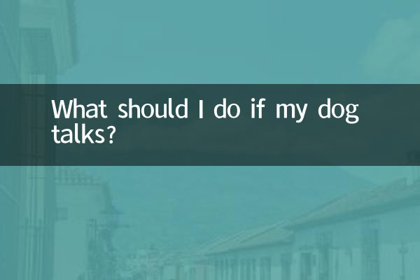 What should I do if my dog talks?
