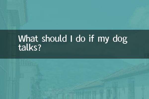 What should I do if my dog talks?