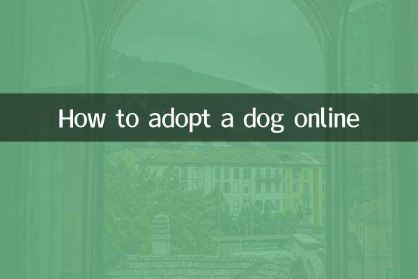 How to adopt a dog online