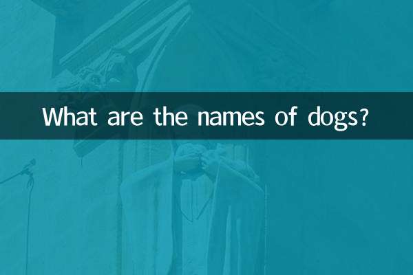 What are the names of dogs?