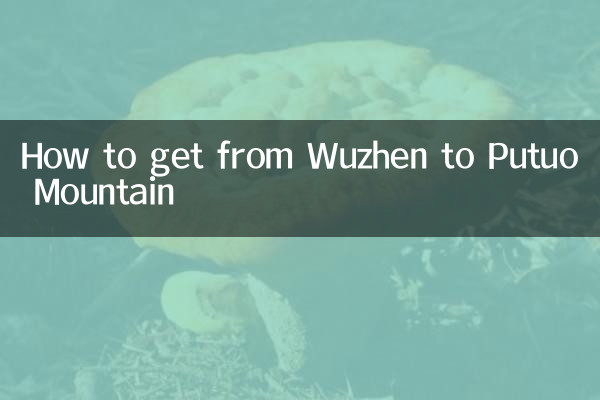 How to get from Wuzhen to Putuo Mountain