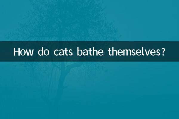 বিড়াল কিভাবে নিজেদের স্নান করে?