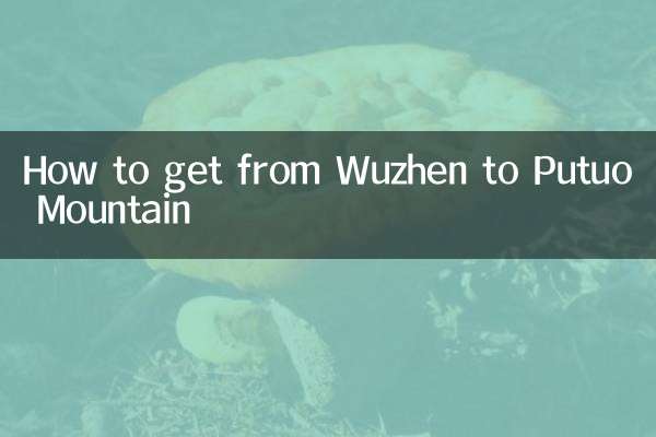 How to get from Wuzhen to Putuo Mountain