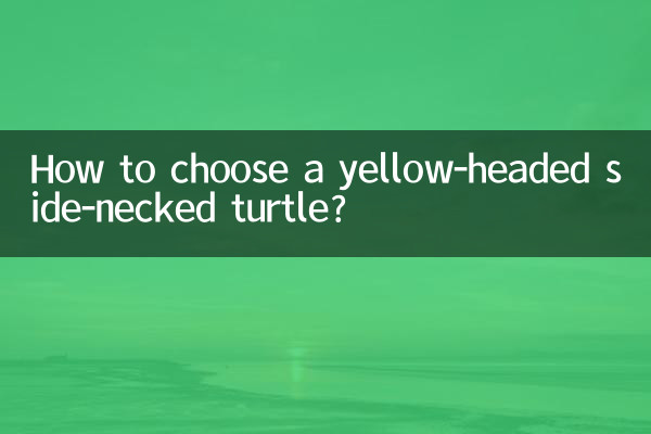 How to choose a yellow-headed side-necked turtle?