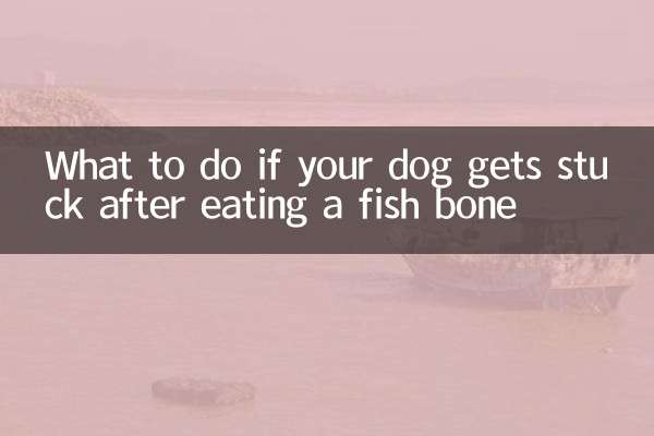 개가 생선 뼈를 먹은 후 갇히면 어떻게 해야 할까요?